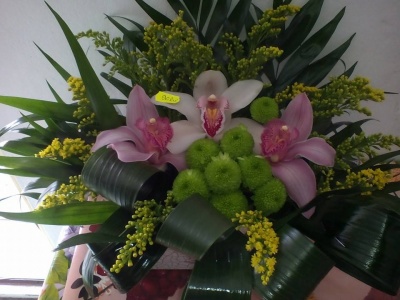 Florarie iris targoviste aranjamente florale