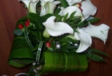  Arnajamenta Florale Botosani